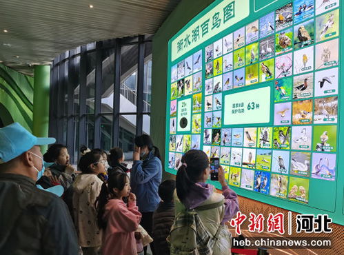 河北發布《研學旅游產品質量規范》地方標準，引領行業高質量發展