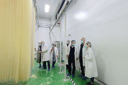 潢川欣然工藝品公司 以匠心傳承，打造民間文化教育與研學(xué)旅行新標(biāo)桿